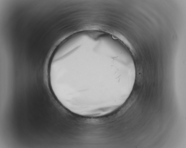 X0000101651088200808071109