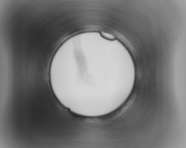 X0000101651089200808071109