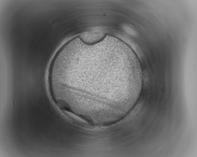 X0000101651091200808071109