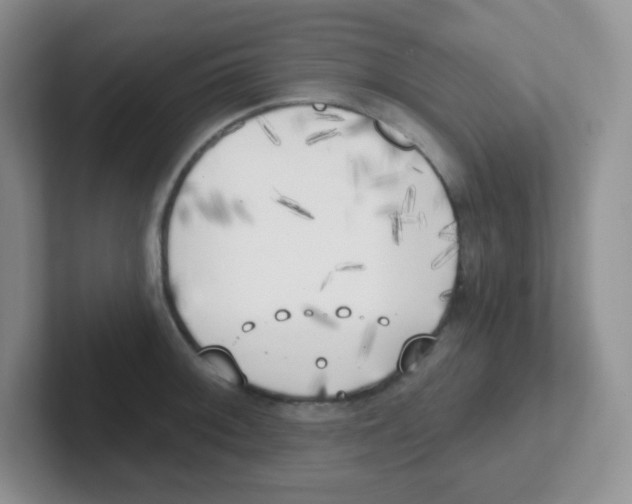 X0000101651092200808071109