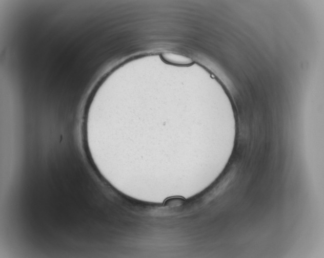 X0000101651093200808071109