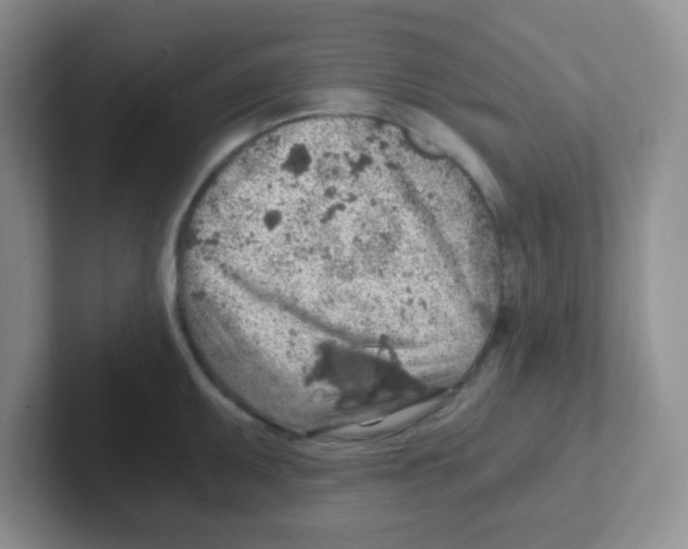 X0000101651095200808071109