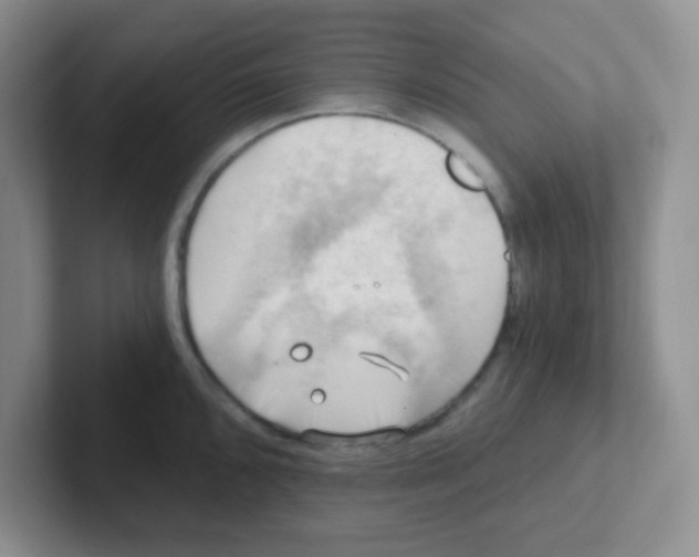 X0000101651096200808071109