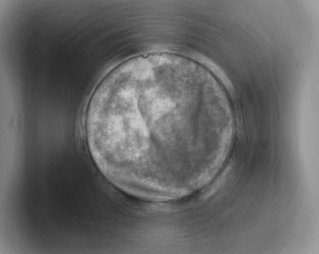 X0000101651097200808071109