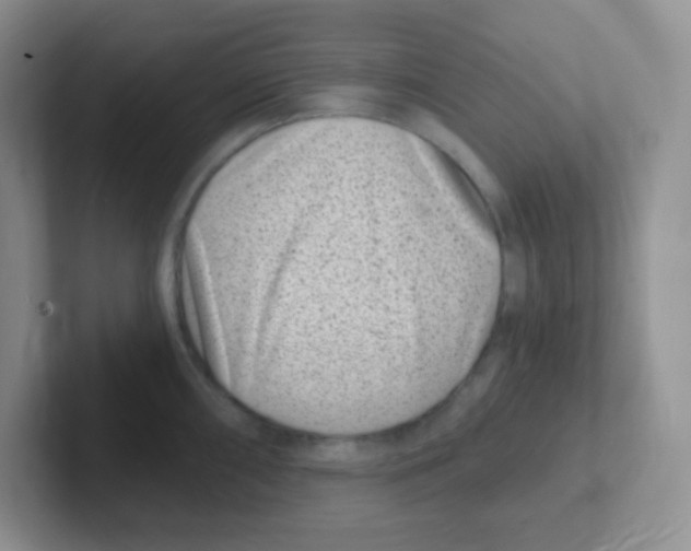 X0000101651098200808071109