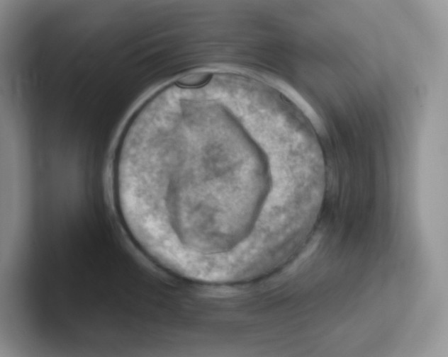 X0000101651100200808071109