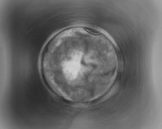 X0000101651101200808071109
