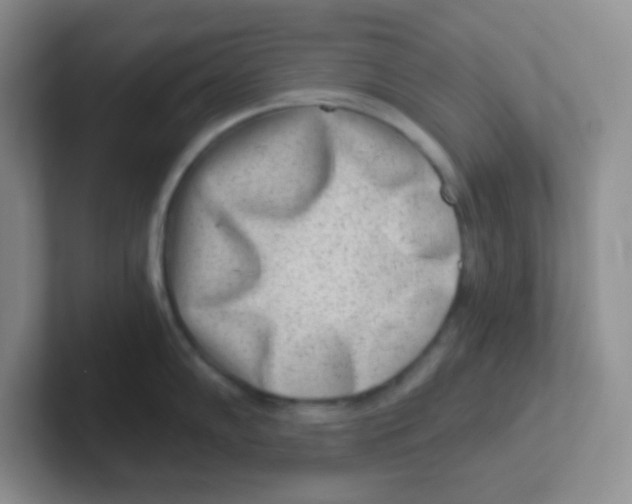 X0000101651102200808071109
