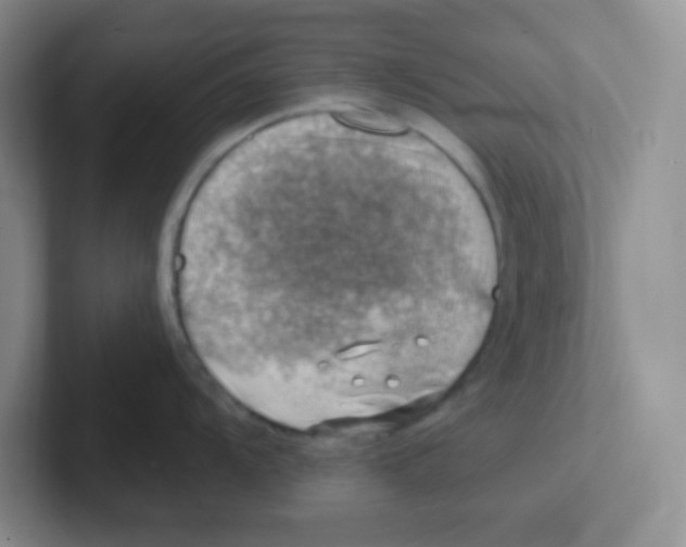 X0000101651104200808071109