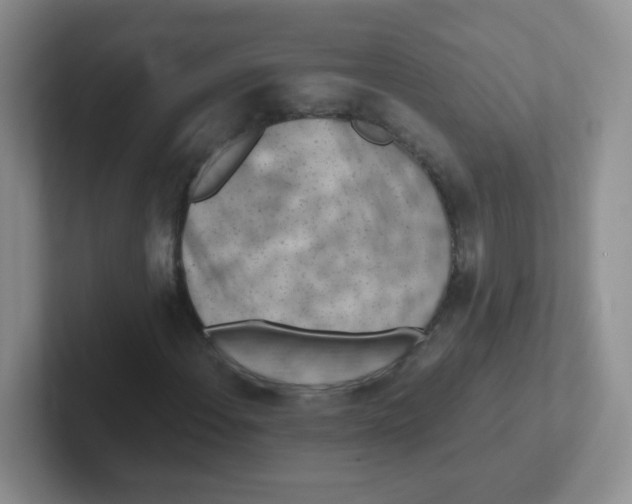 X0000101651108200808071109