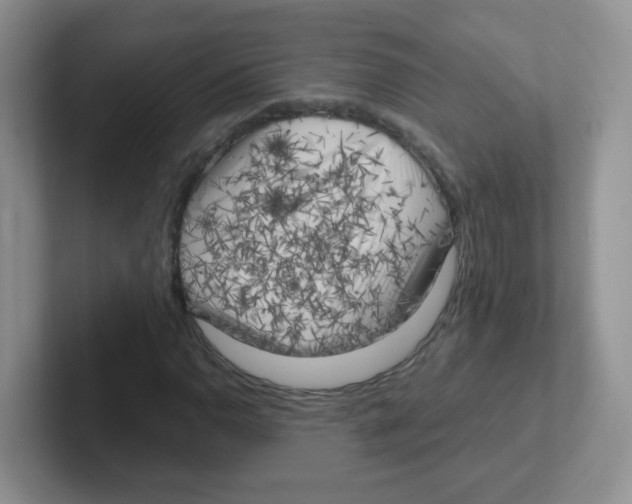 X0000101651110200808071109