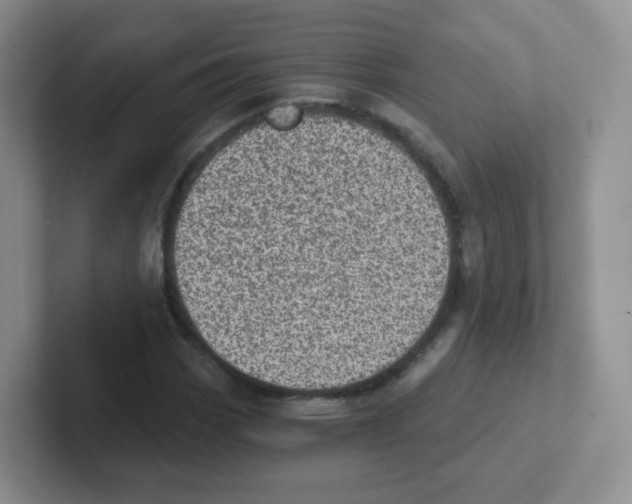 X0000101651113200808071109