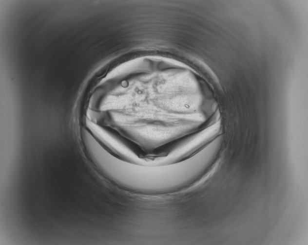 X0000101651114200808071109