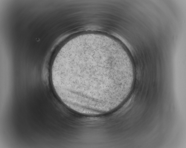 X0000101651115200808071109