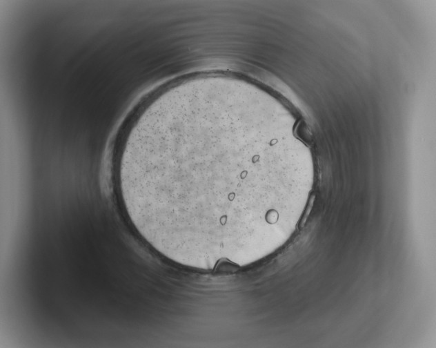 X0000101651116200808071109