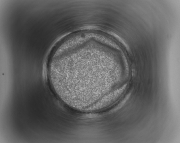 X0000101651117200808071109