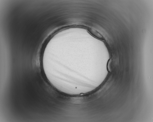 X0000101651118200808071109