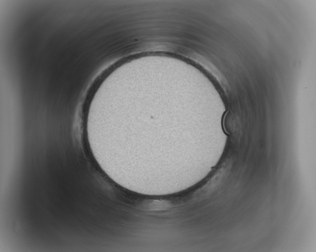 X0000101651119200808071109