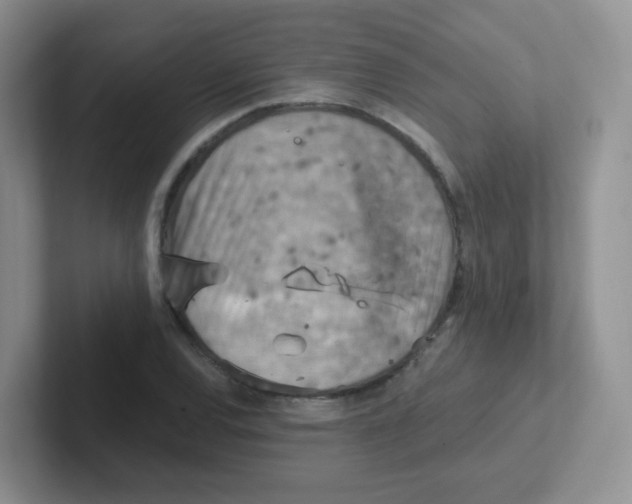 X0000101651120200808071109