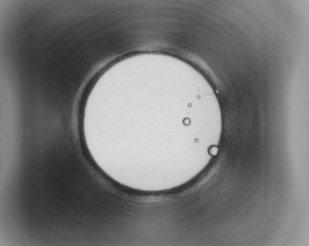 X0000101651122200808071109