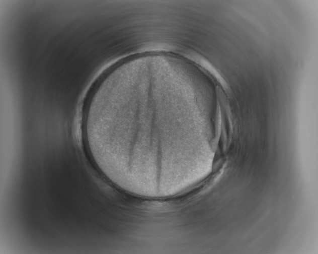X0000101651124200808071109