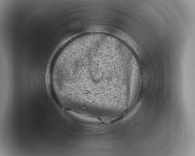 X0000101651125200808071109