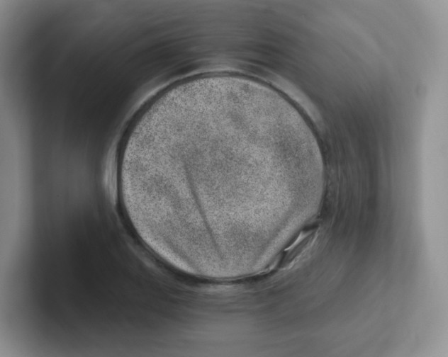 X0000101651127200808071109