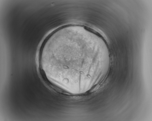 X0000101651128200808071109