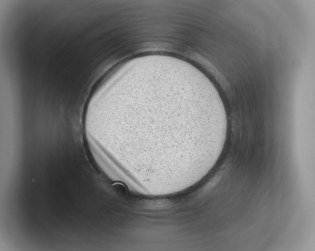 X0000101651129200808071109