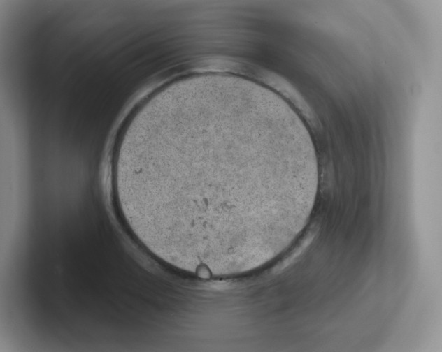X0000101651130200808071109
