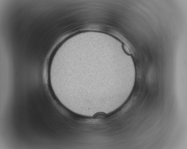 X0000101651131200808071109