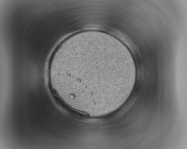 X0000101651132200808071109