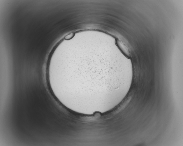 X0000101651134200808071109