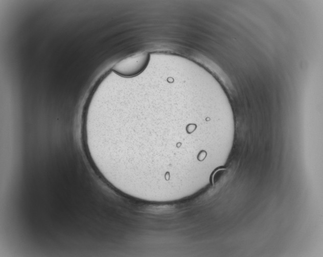 X0000101651135200808071109