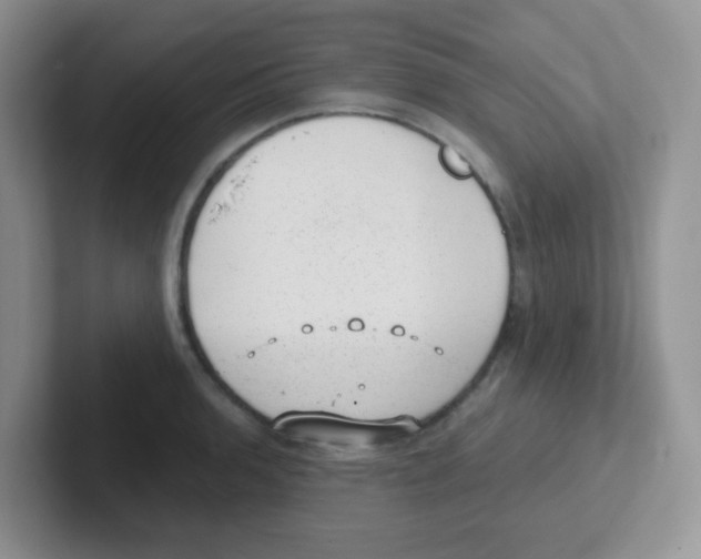 X0000101651136200808071109