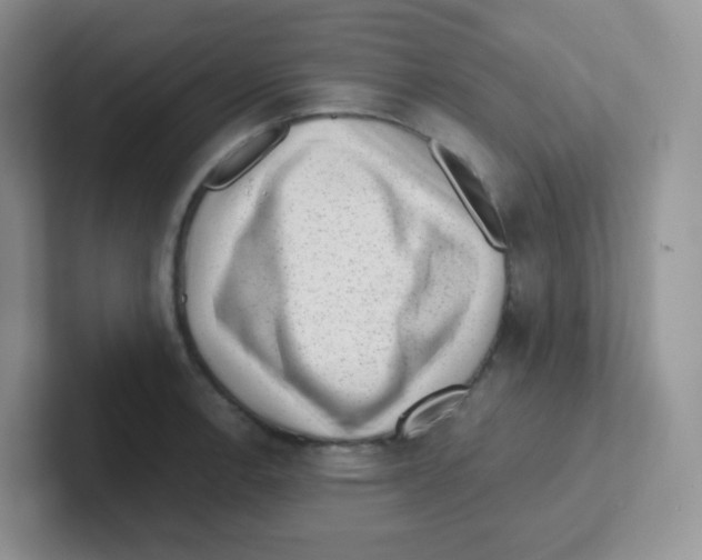 X0000101651138200808071109