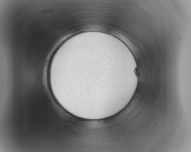 X0000101651139200808071109