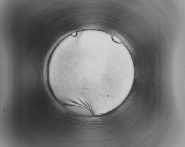 X0000101651140200808071109