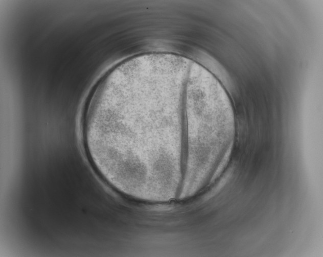 X0000101651141200808071109