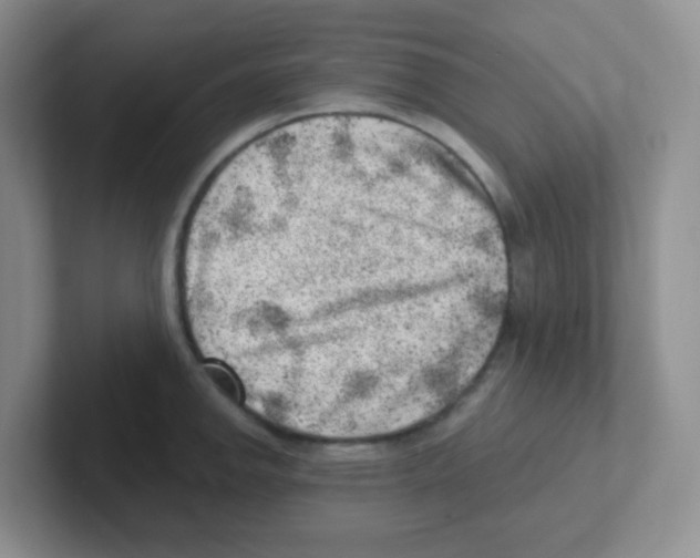 X0000101651142200808071109