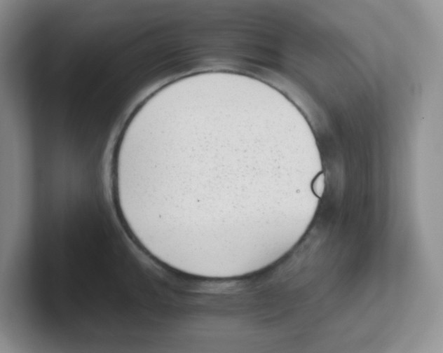 X0000101651143200808071109