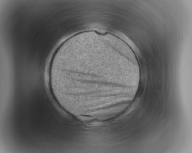 X0000101651144200808071109