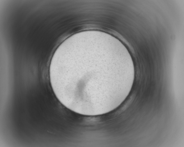 X0000101651145200808071109