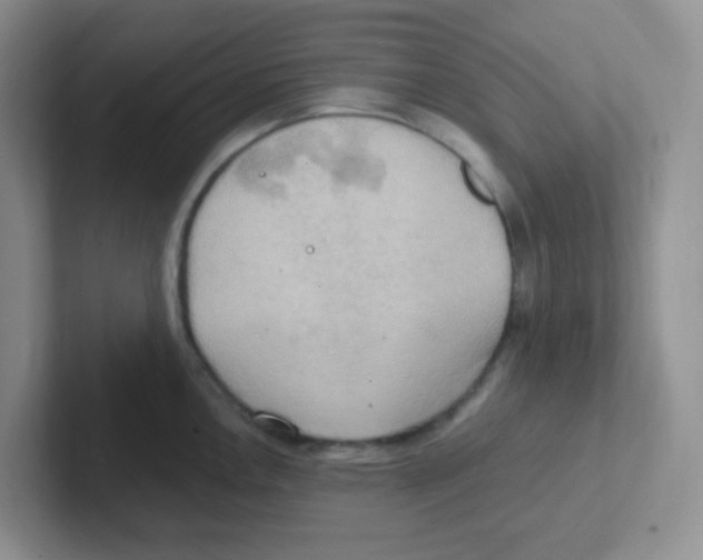 X0000101651146200808071109