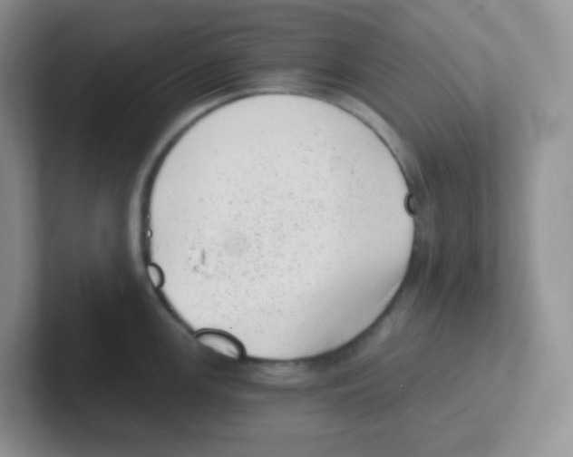 X0000101651147200808071109
