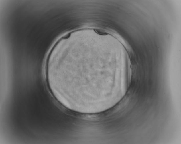 X0000101651148200808071109