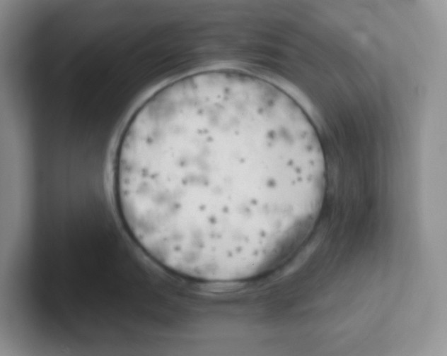 X0000101651151200808071109