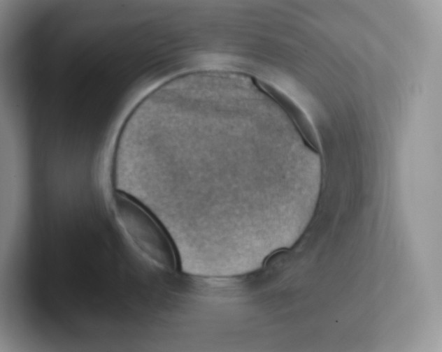 X0000101651152200808071109