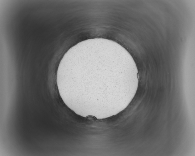 X0000101651153200808071109