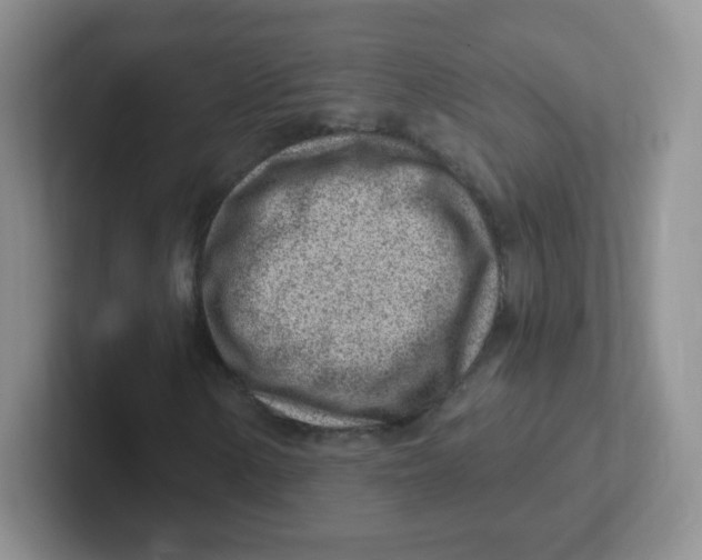 X0000101651154200808071109
